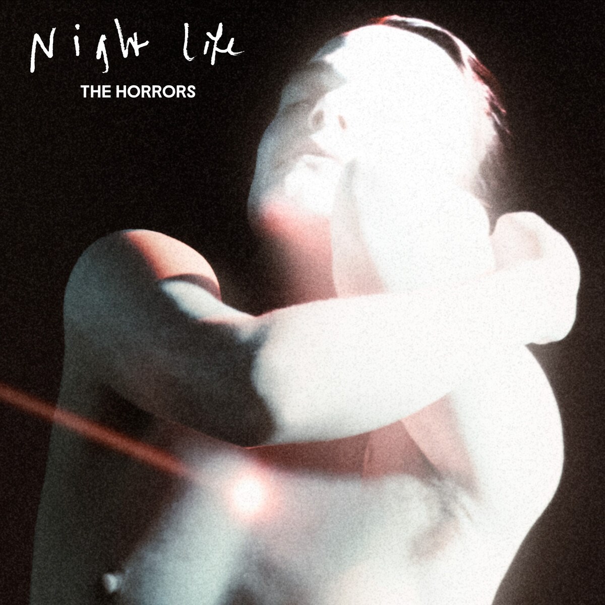 Afbeelding van Horrors - Night Life