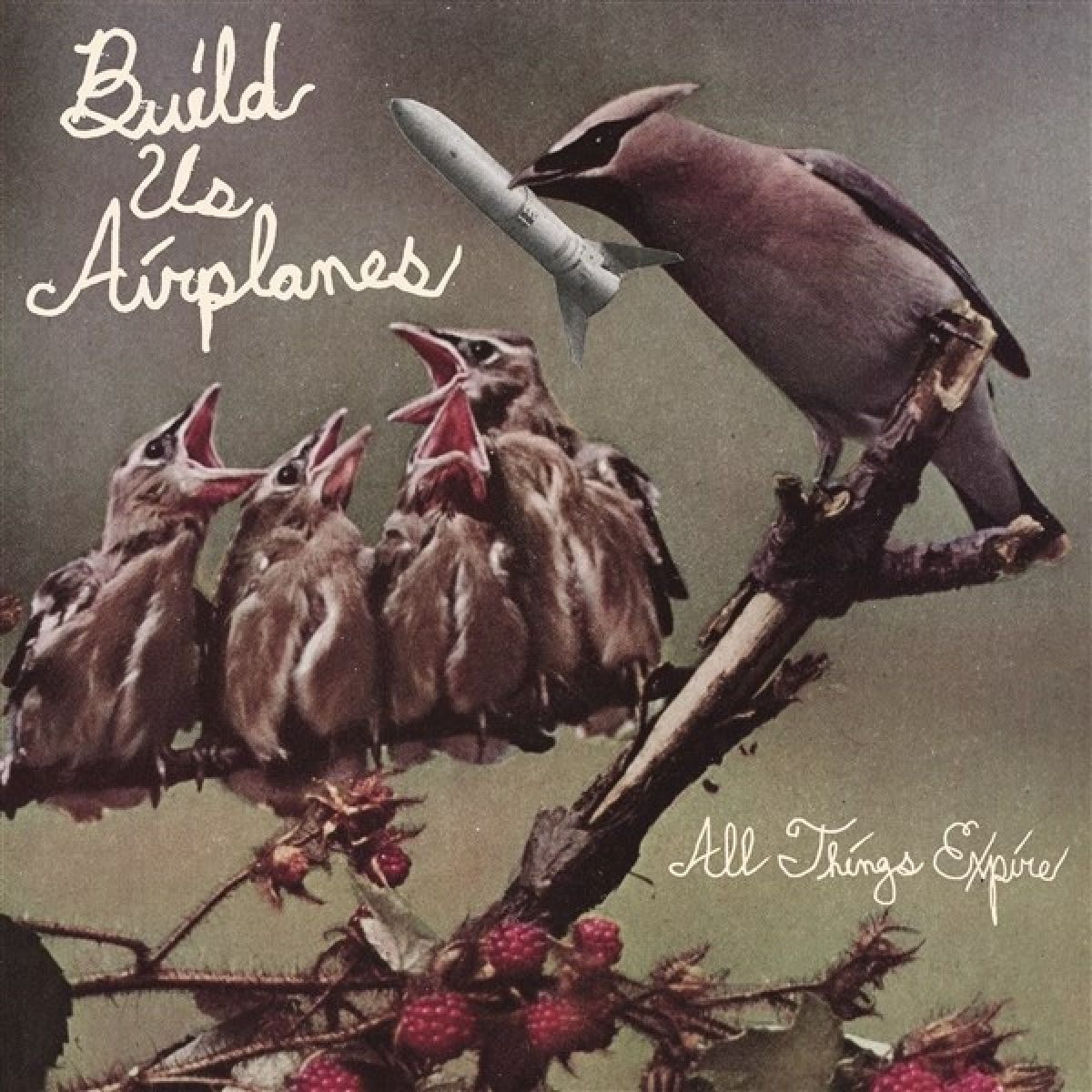Afbeelding van Build Us Airplanes - All Things Expire