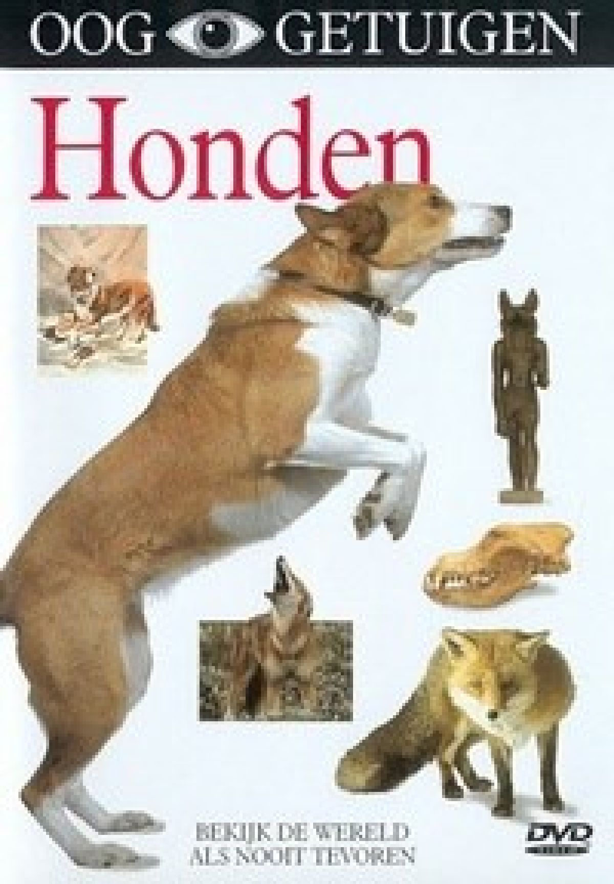 Afbeelding van Ooggetuigen - Honden