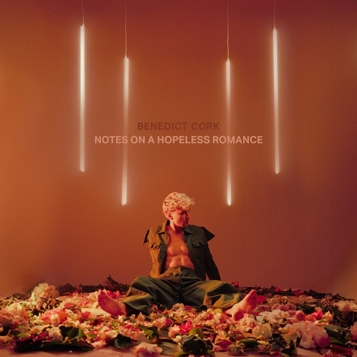 Afbeelding van Notes On A Hopeless Romance