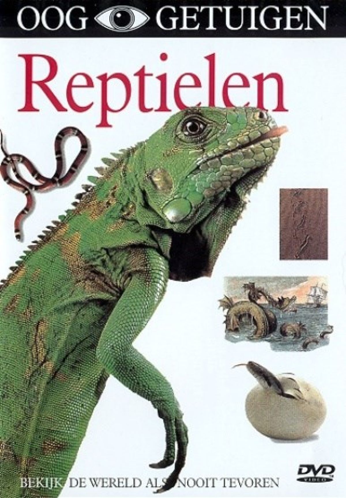 Afbeelding van Ooggetuigen - Reptielen