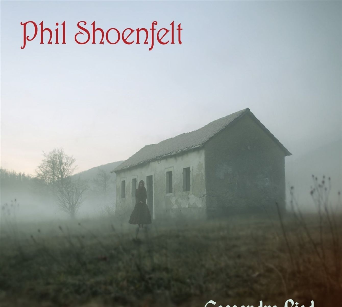 Afbeelding van Phil Shöenfelt - Cassandra Lied