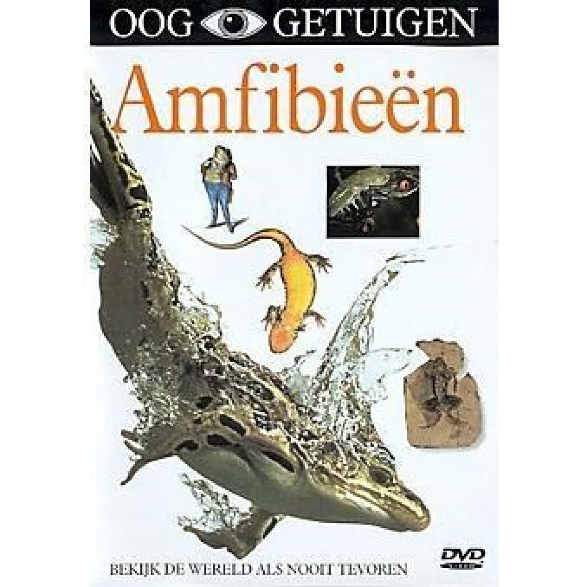 Afbeelding van Ooggetuigen - Amfibieen