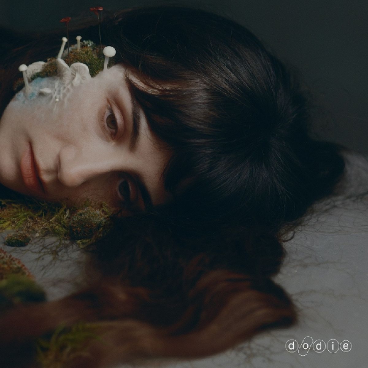 Afbeelding van Dodie - Not For Lack Of Trying