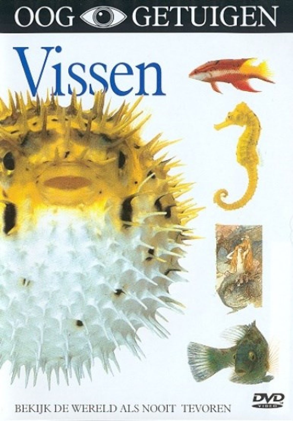 Afbeelding van Ooggetuigen - Vissen