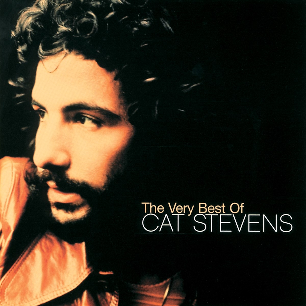 Afbeelding van The Very Best Of Cat Stevens