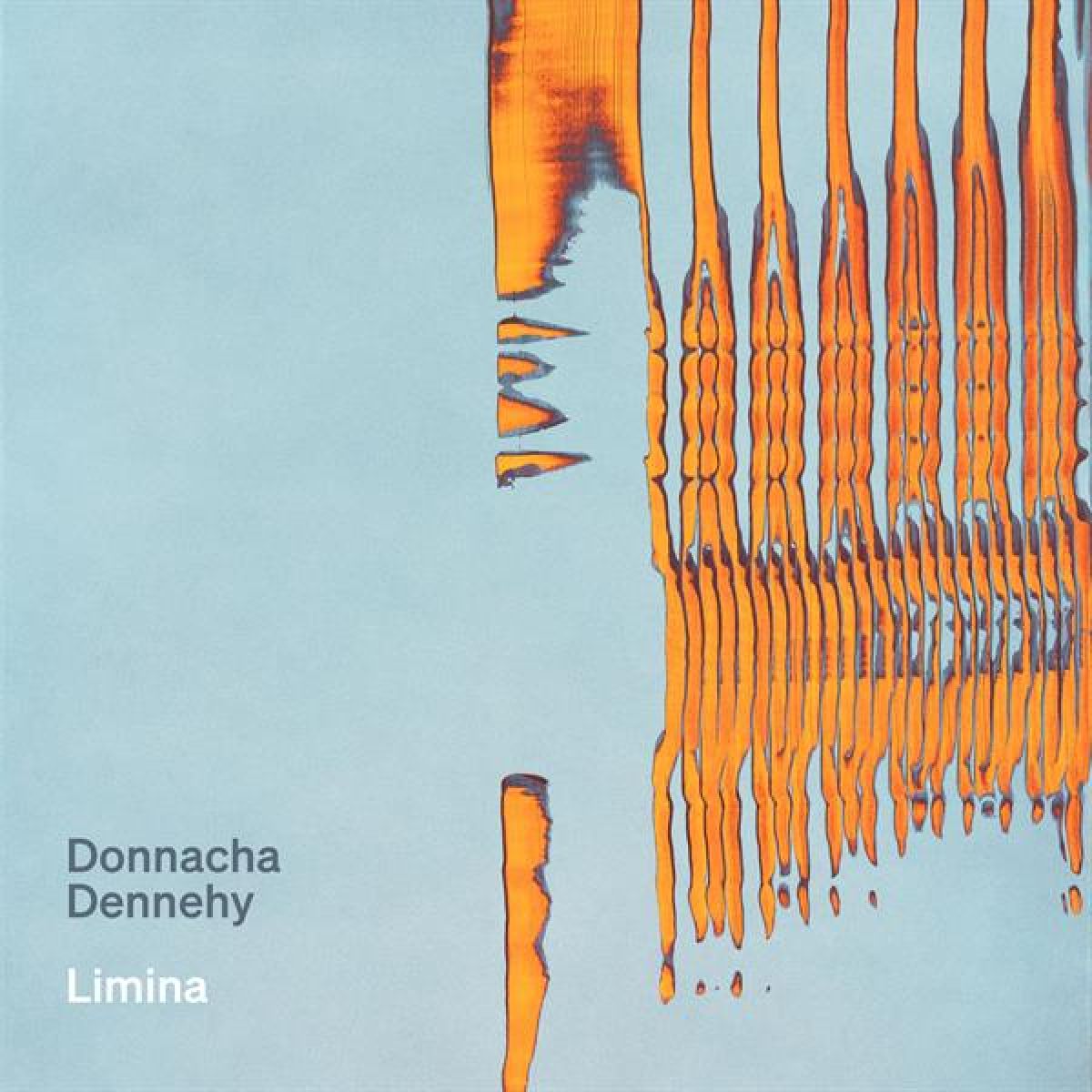 Afbeelding van National Symphony Orchestra Ireland & Ryan McAdams - Donnacha Dennehy: Limina