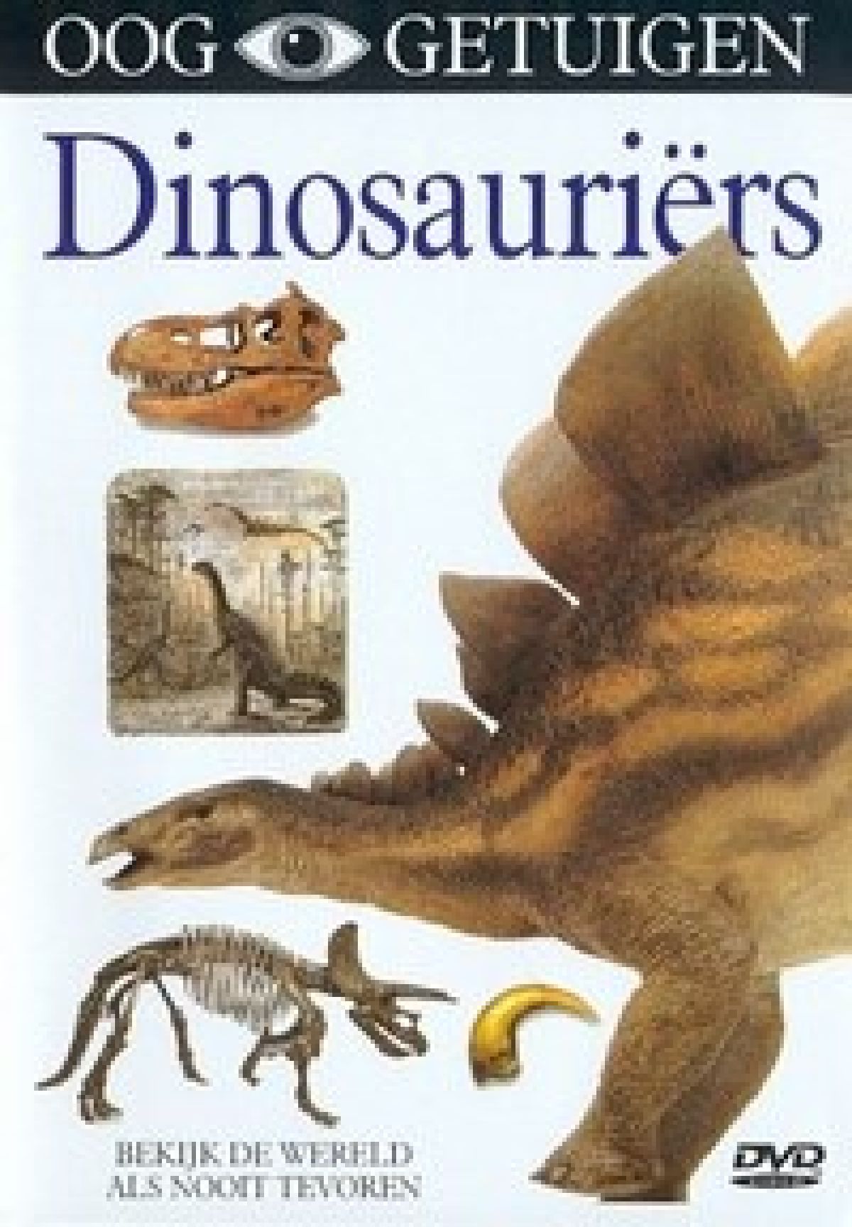 Ooggetuigen - Dinosauriers