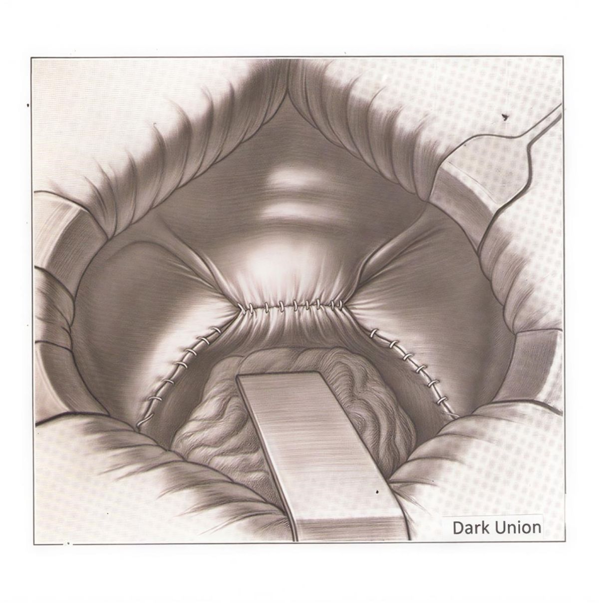 Afbeelding van Dark Union - Hollywound