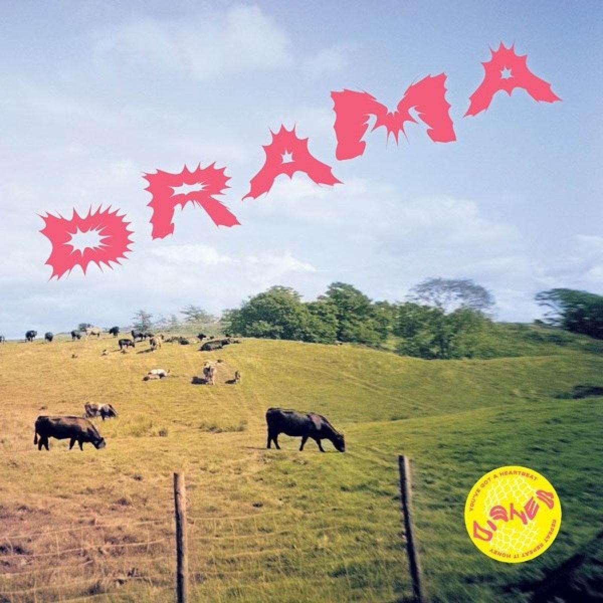 Afbeelding van Dishes - Drama
