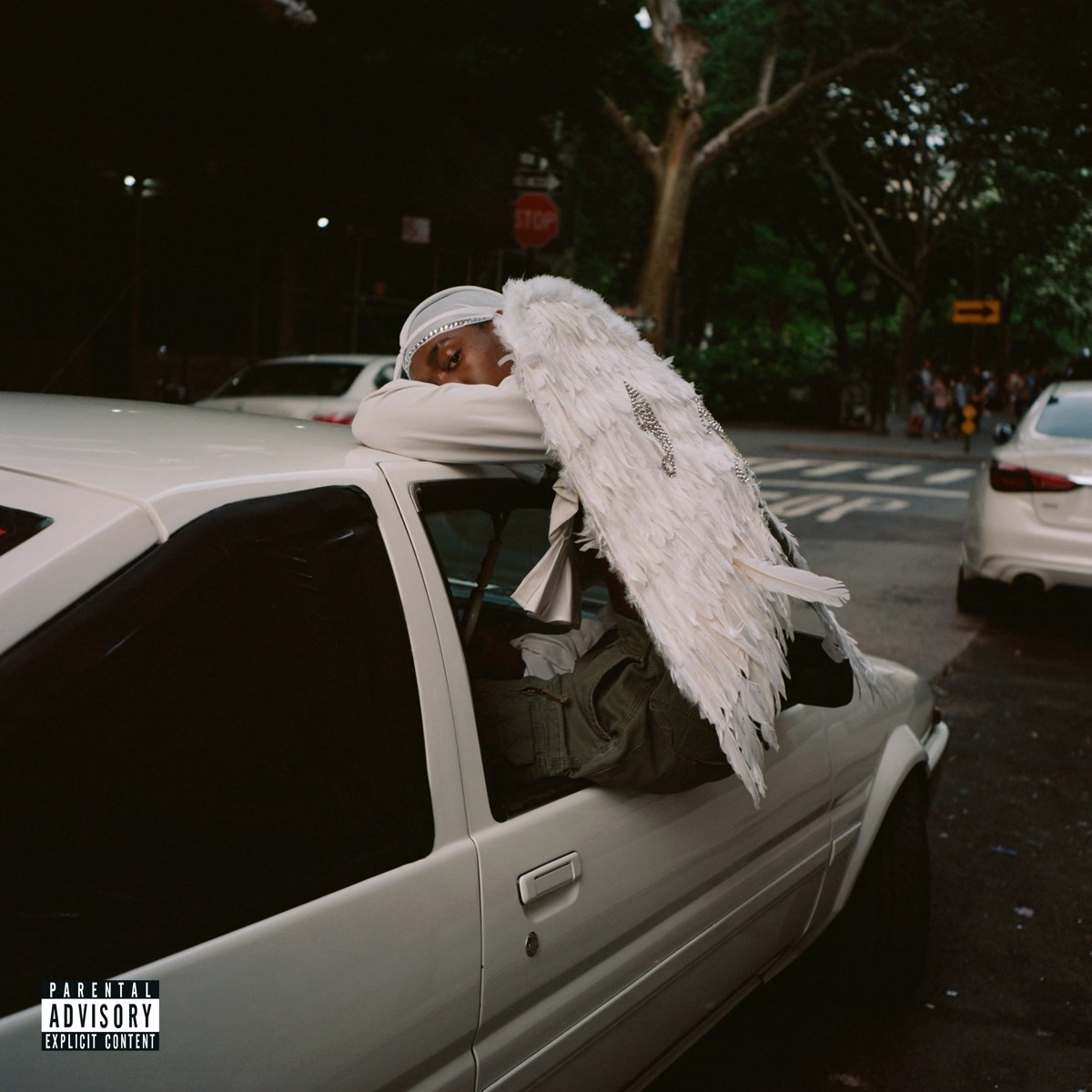 Afbeelding van Blood Orange - Negro Swan