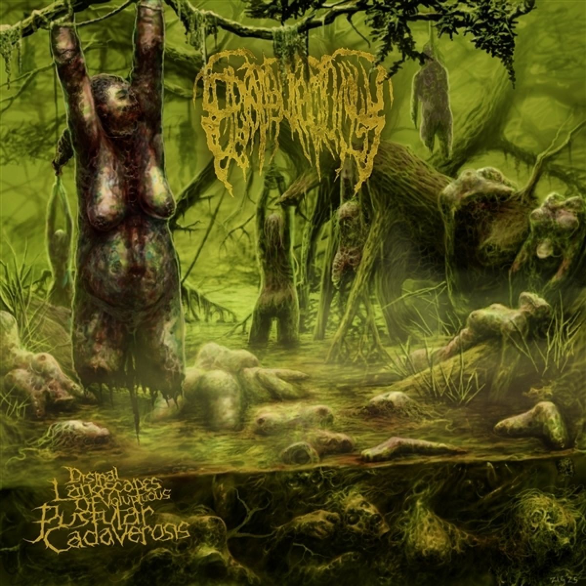 Afbeelding van Epicardiectomy - Dismal Landscapes Of Voloptuous Pustular Cadeverosis