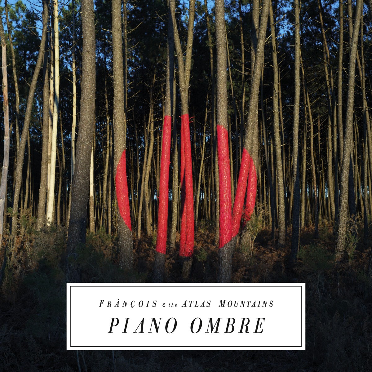 Afbeelding van François & The Atlas Mountains - Piano Ombre