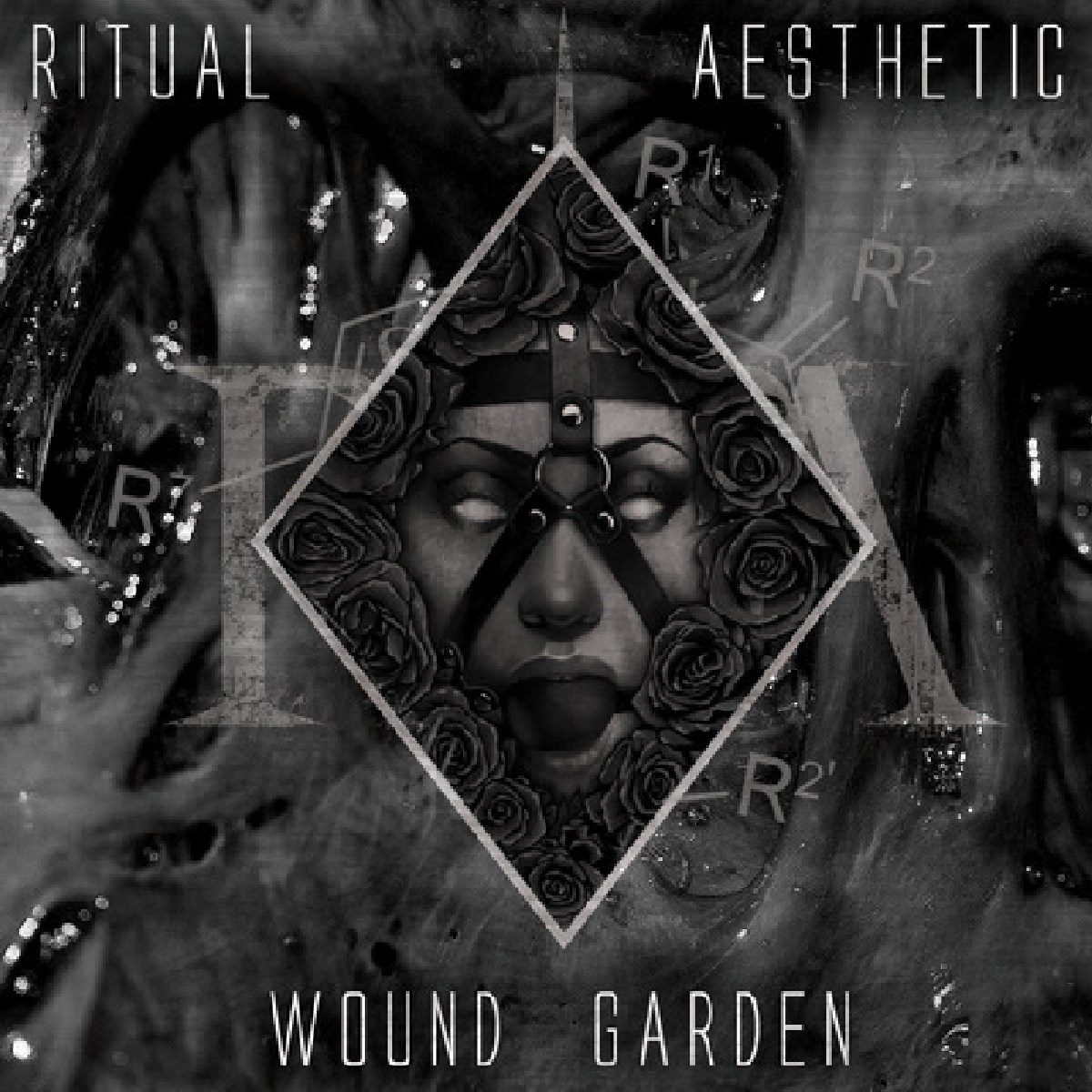 Afbeelding van Ritual Aesthetic - Wound Garden