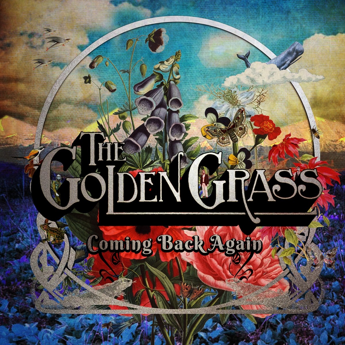 Afbeelding van The Golden Grass - Coming Back Again