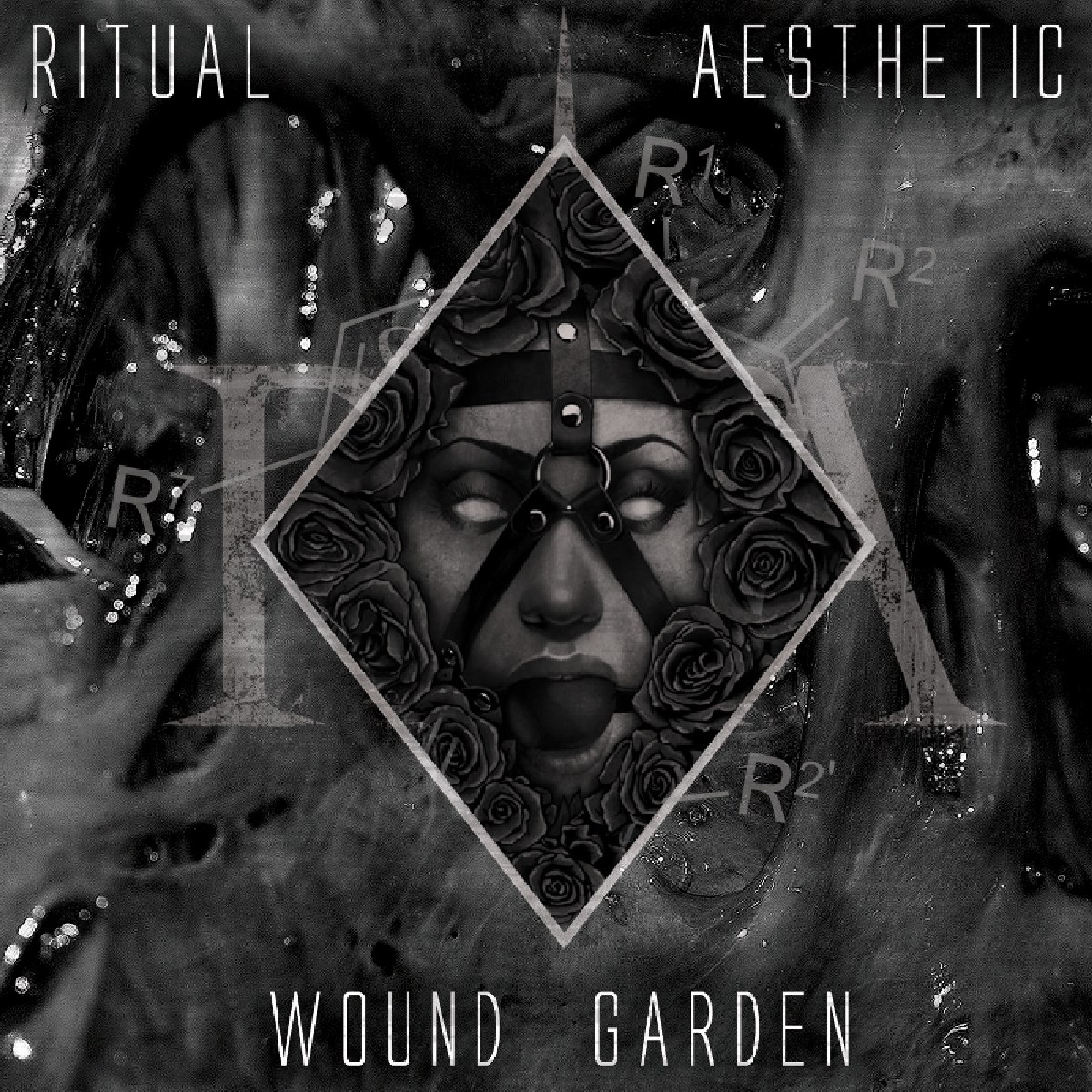 Afbeelding van Wound Garden