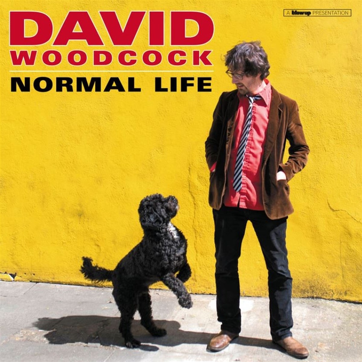 Afbeelding van David Woodcock - Normal Life