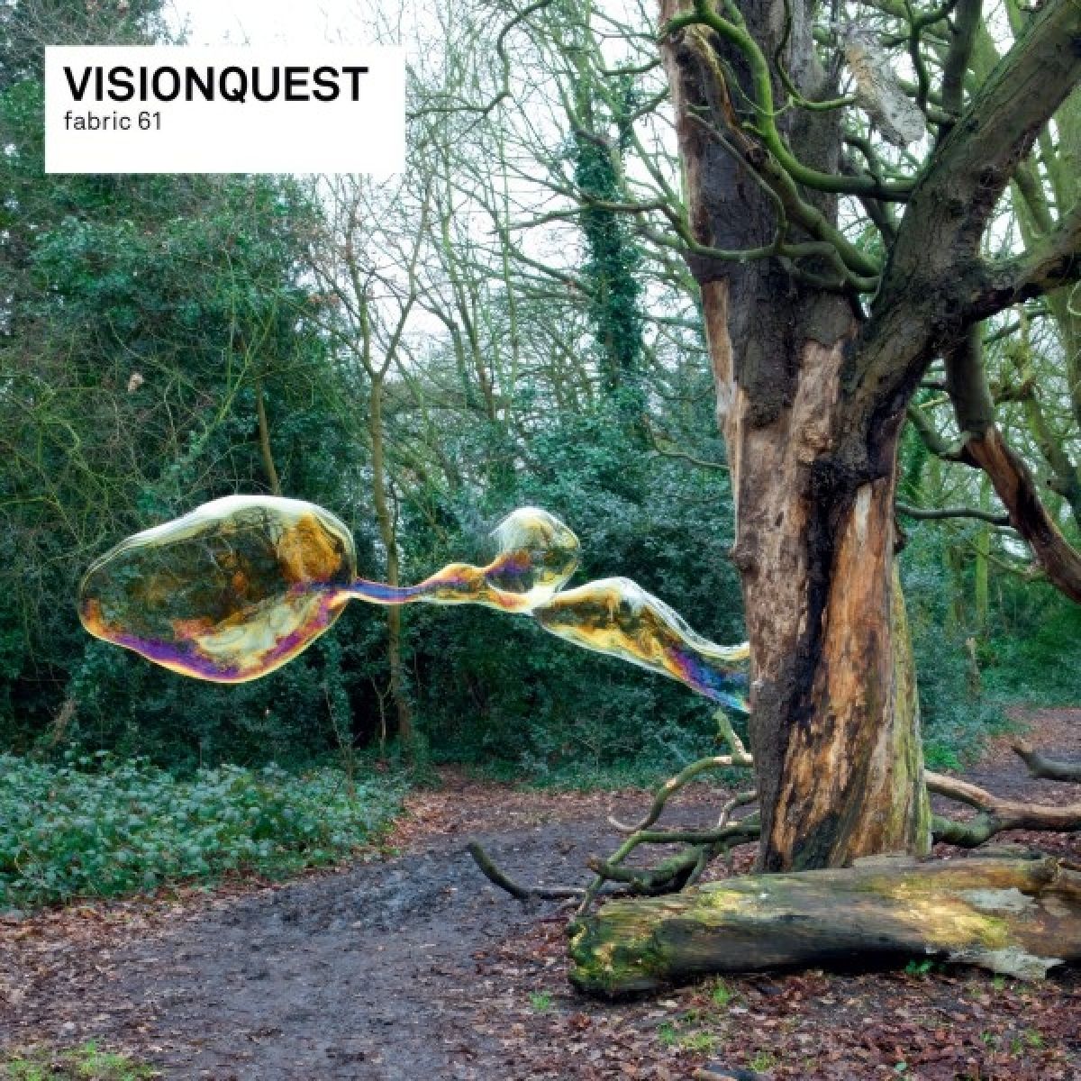 Afbeelding van Visionquest - Fabric 61