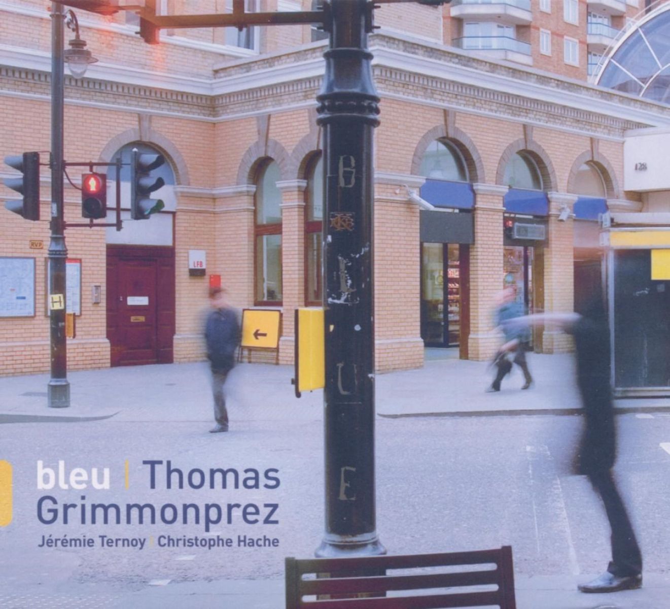 Afbeelding van Thomas Grimmonprez - Bleu
