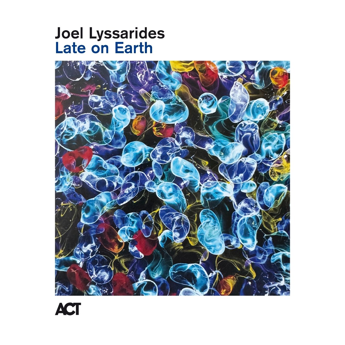 Afbeelding van Joel Lyssarides - Late On Earth