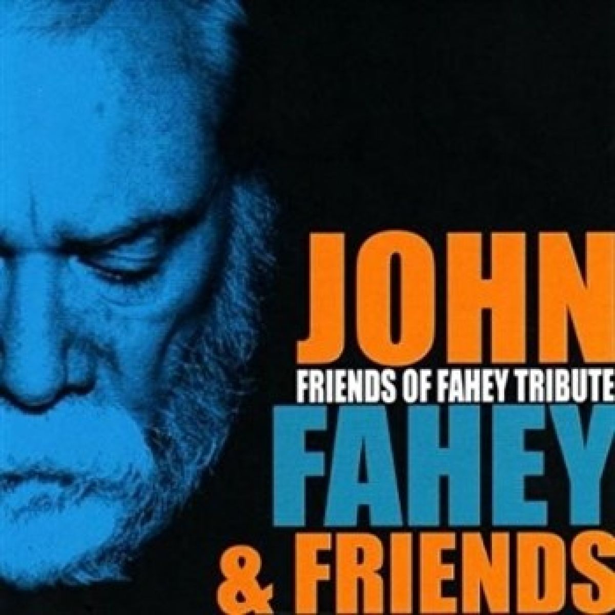 Afbeelding van Various Artists - Friends Of Fahey Tribute