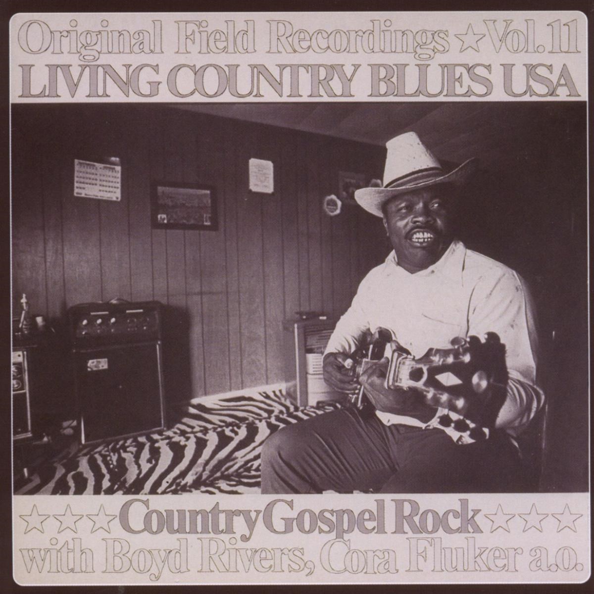 Afbeelding van Various Artists - Living Country Blues USA Volume 11