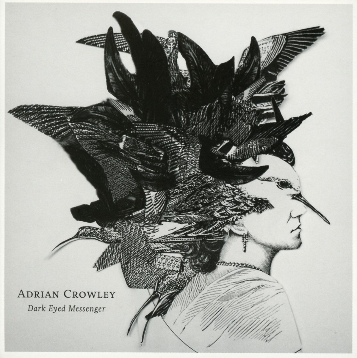 Afbeelding van Adrian Crowley - Dark Eyed Messenger