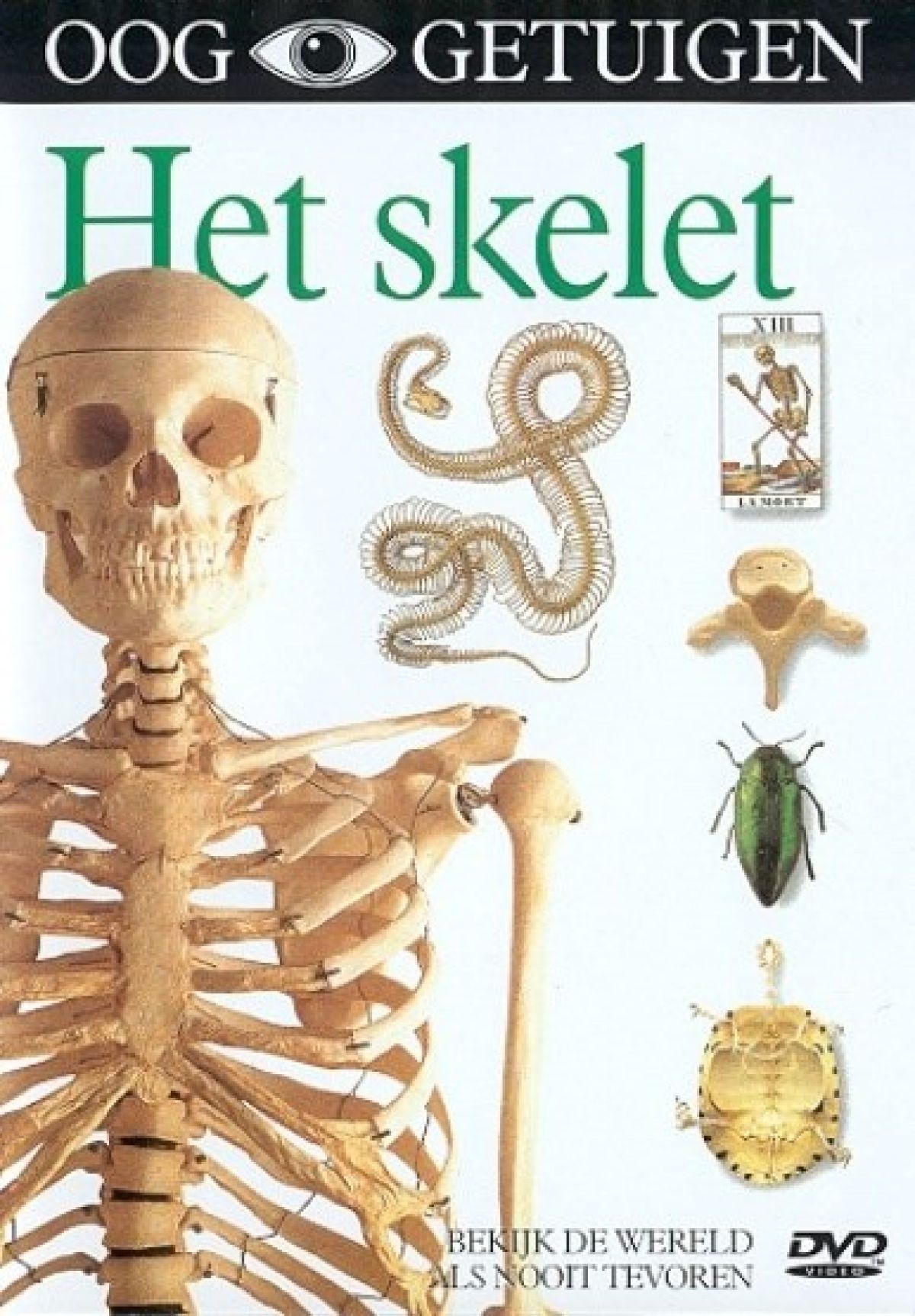 Afbeelding van Ooggetuigen - Het Skelet