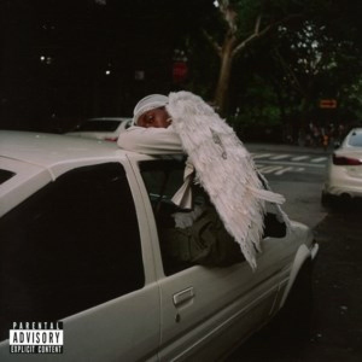 Afbeelding van Blood Orange - Negro Swan