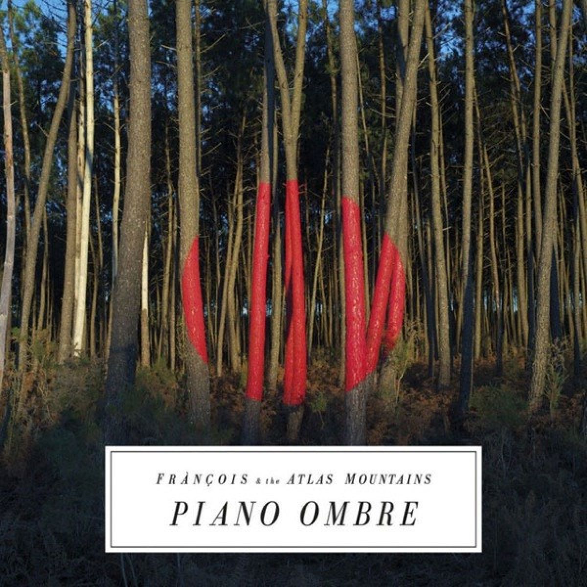 Afbeelding van Frànçois And The Atlas Mountains - Piano Ombre