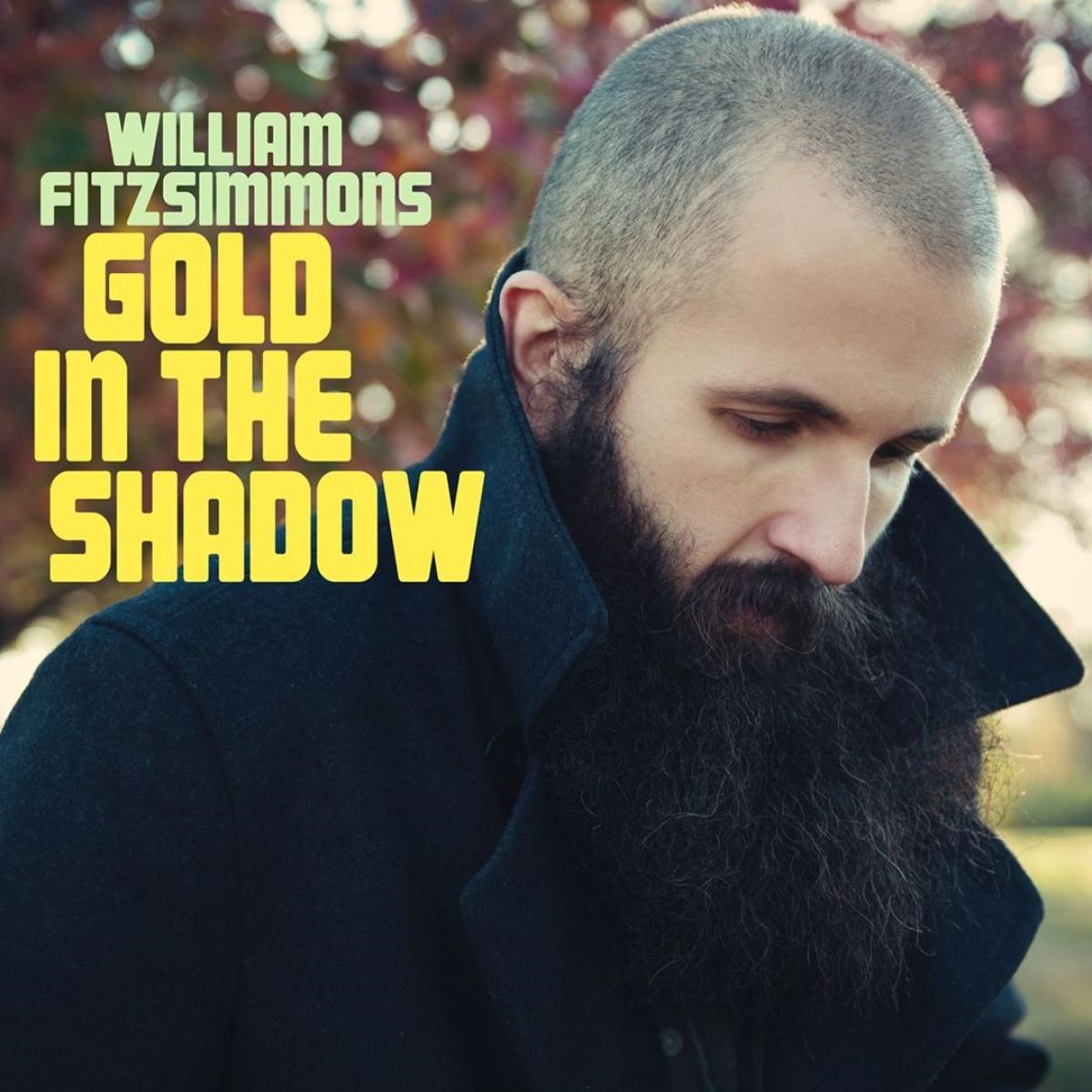 Afbeelding van William Fitzsimmons - Gold In The Shadow