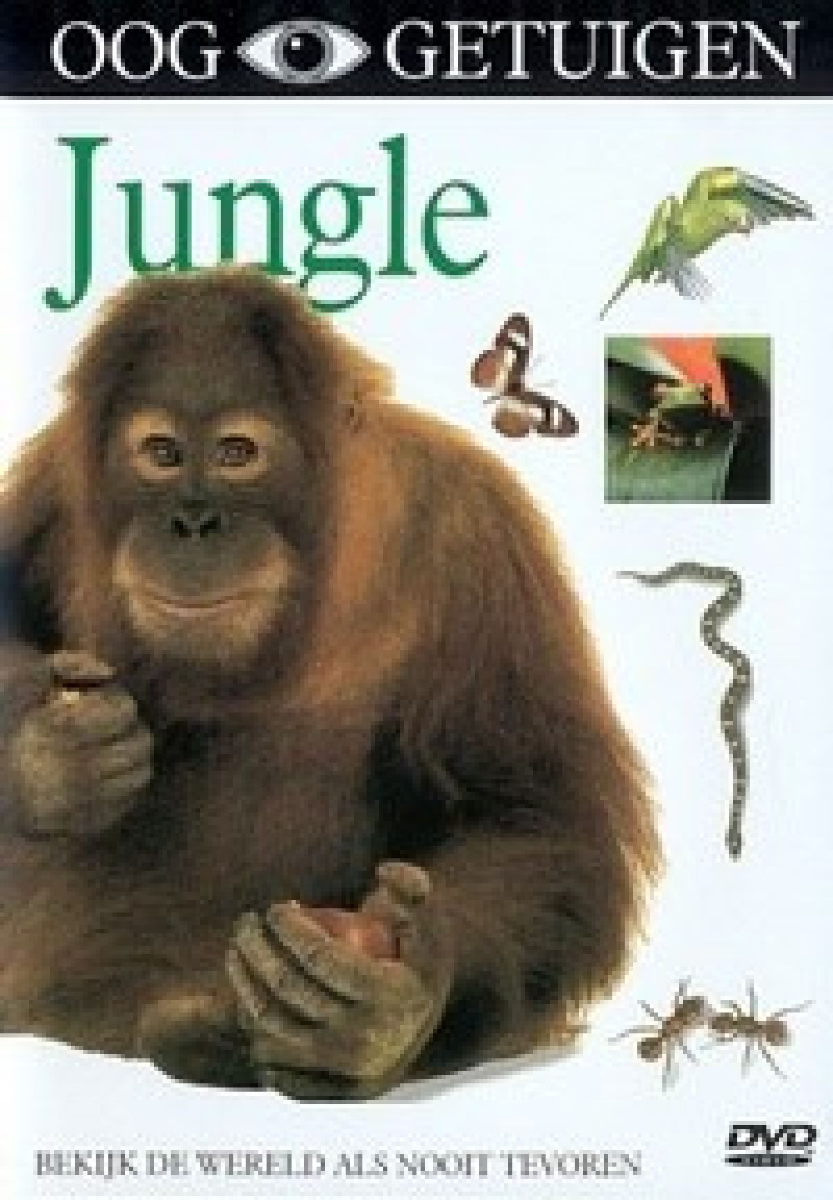 Afbeelding van Ooggetuigen - Jungle