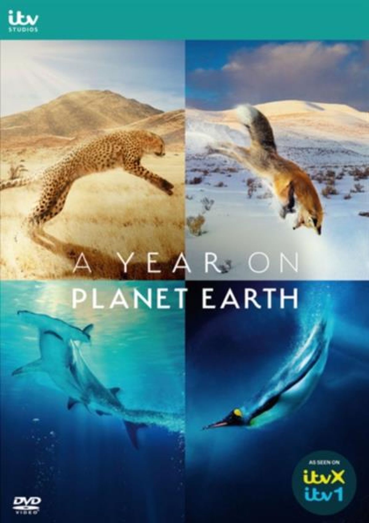 Afbeelding van A Year On Planet Earth
