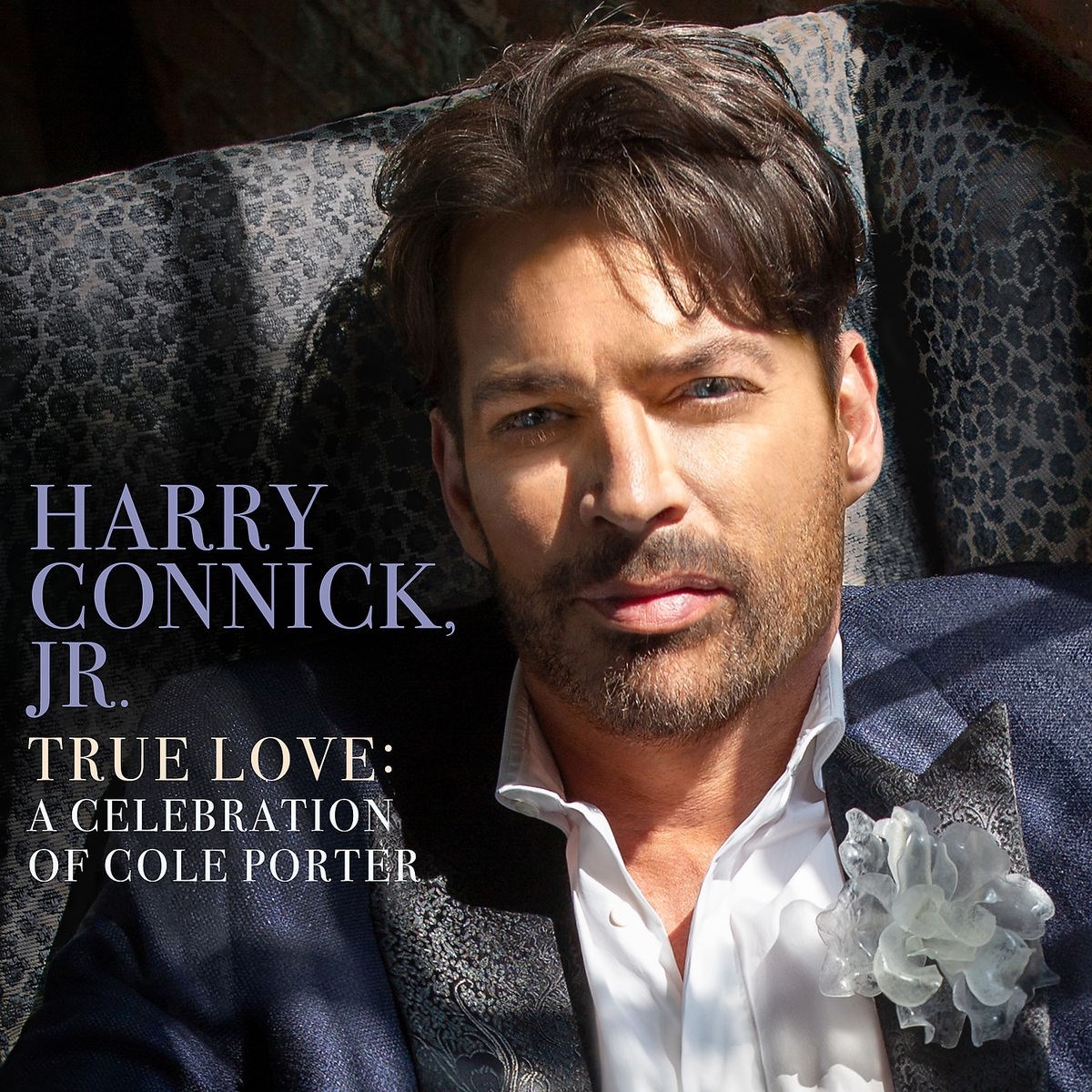 Afbeelding van Harry Connick Jr. - True Love: A Celebration Of Cole Porter