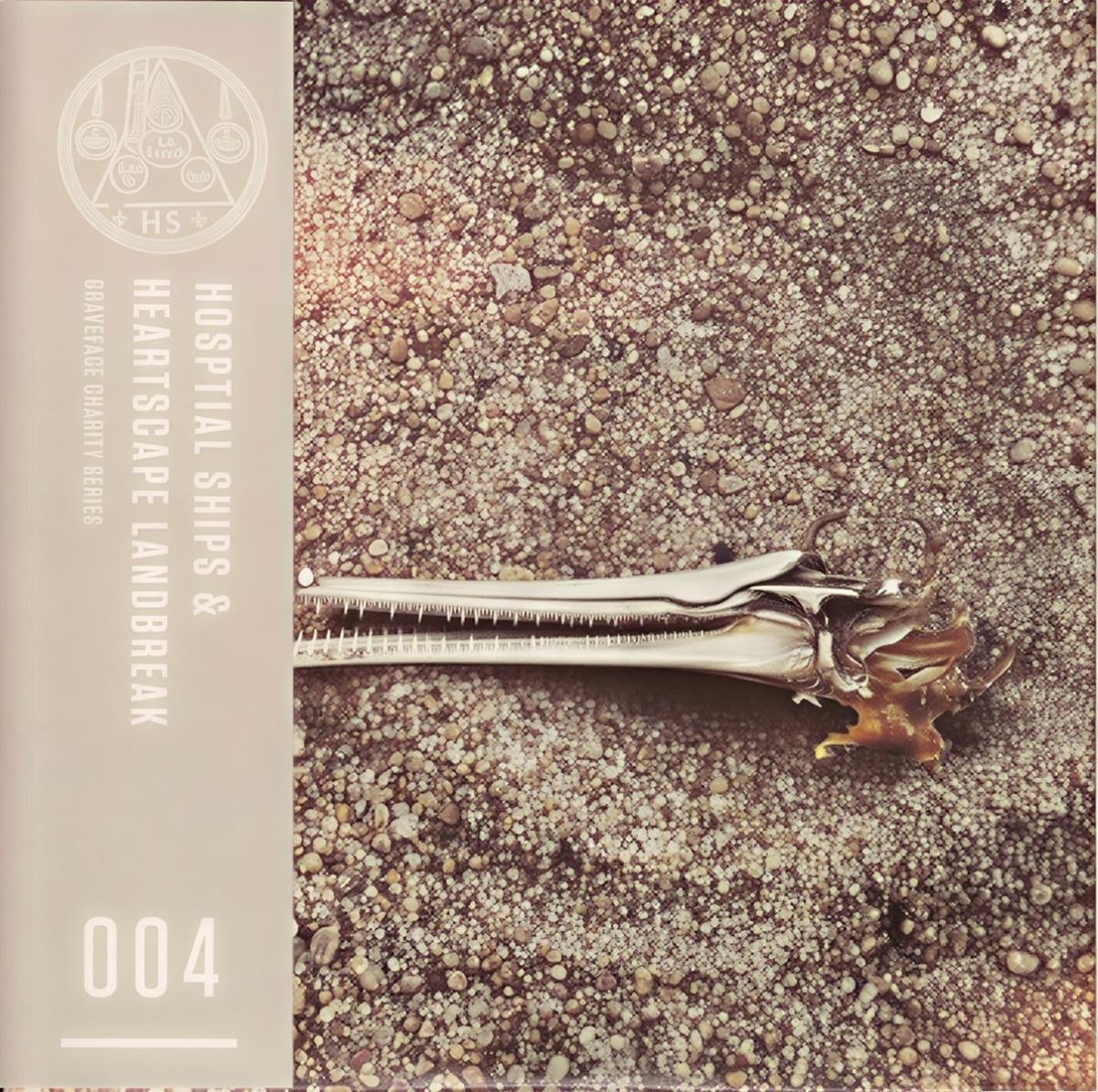 Afbeelding van Hospital Ships & Heartscape Landbreak - Mary Of Quito / Seed Song