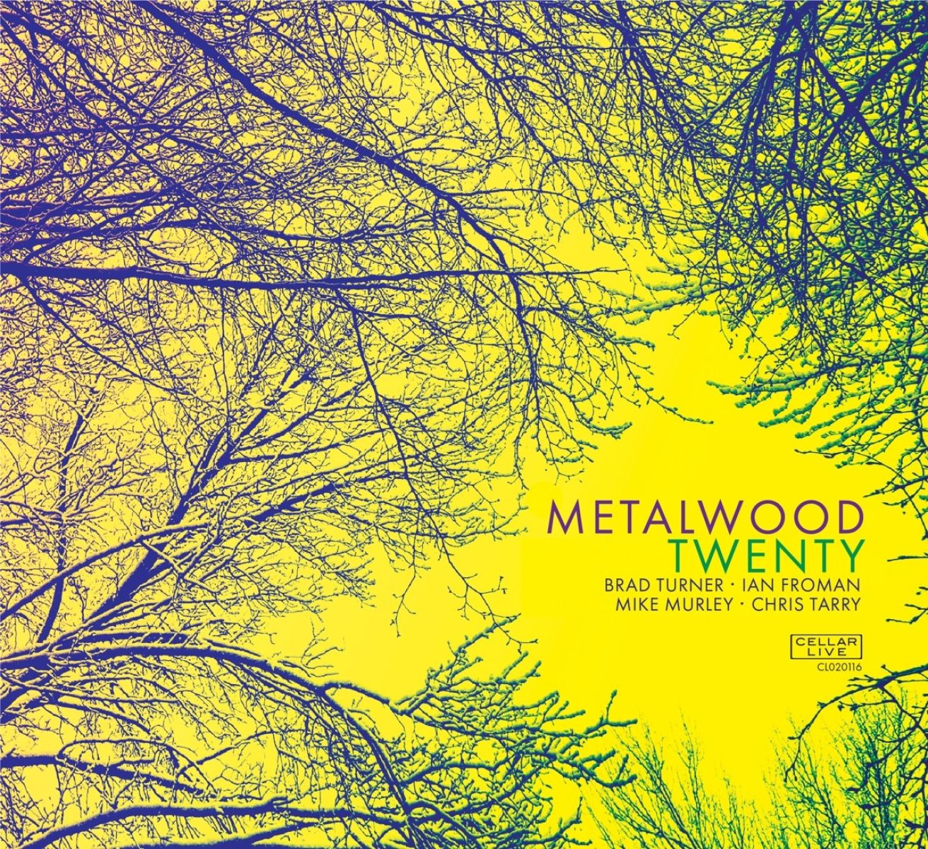 Afbeelding van Metalwood - Twenty
