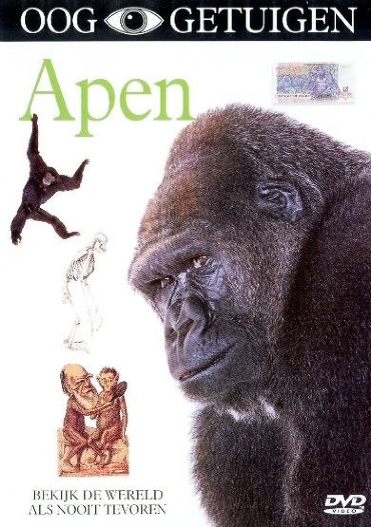 Ooggetuigen - Apen