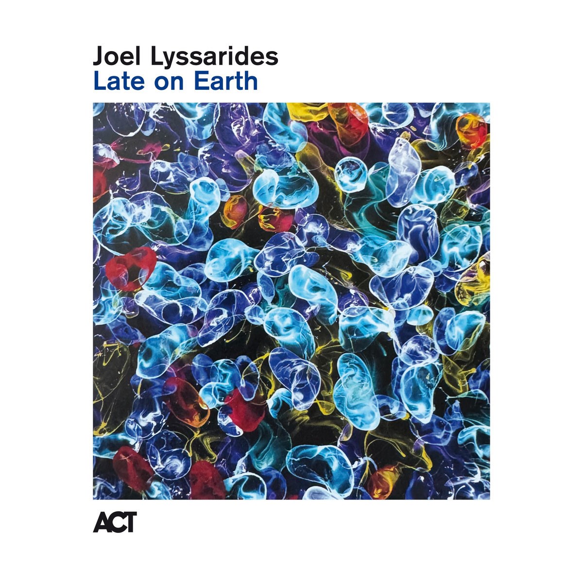 Afbeelding van Joel Lyssarides - Late On Earth