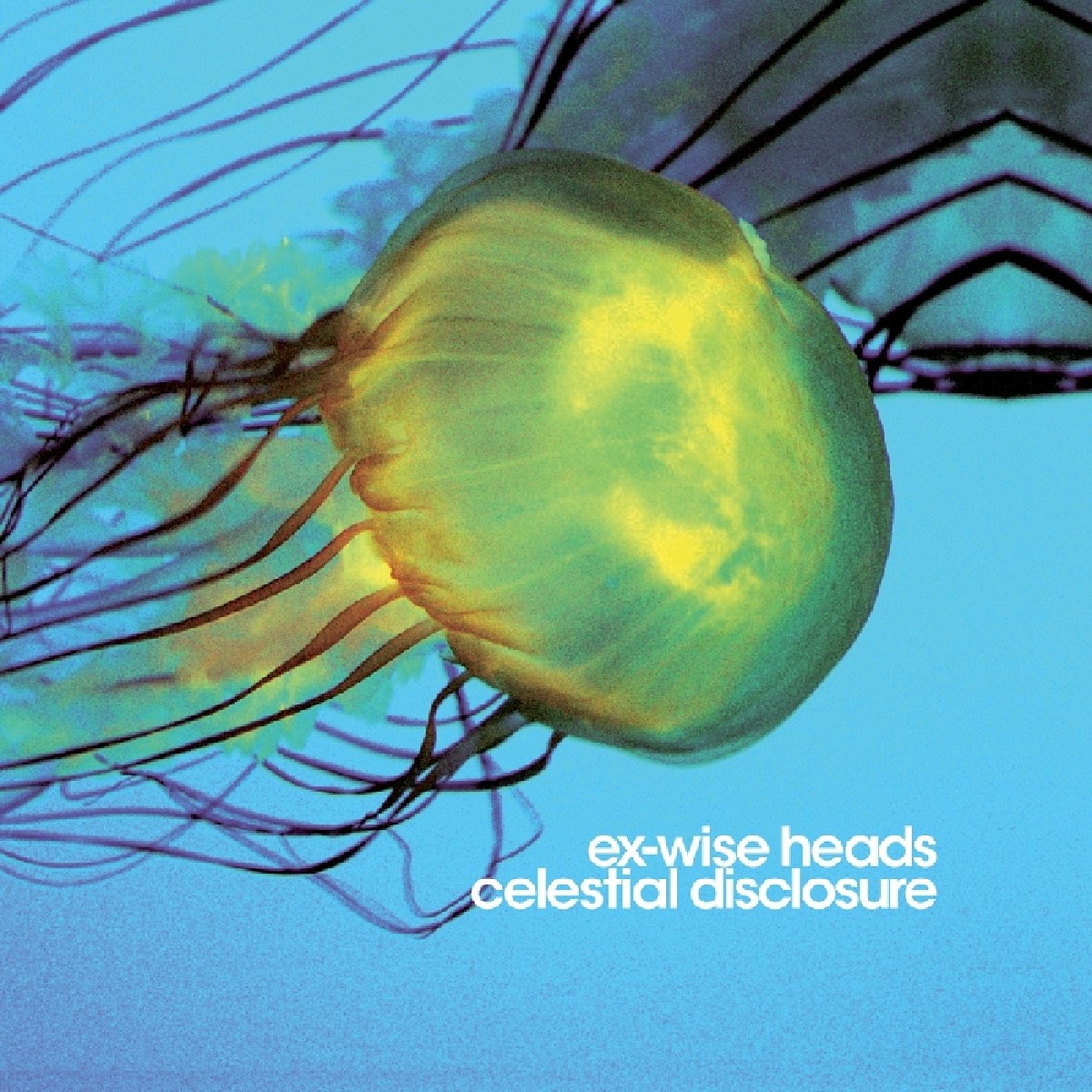 Afbeelding van Ex-Wise Heads - Celestial Disclosure