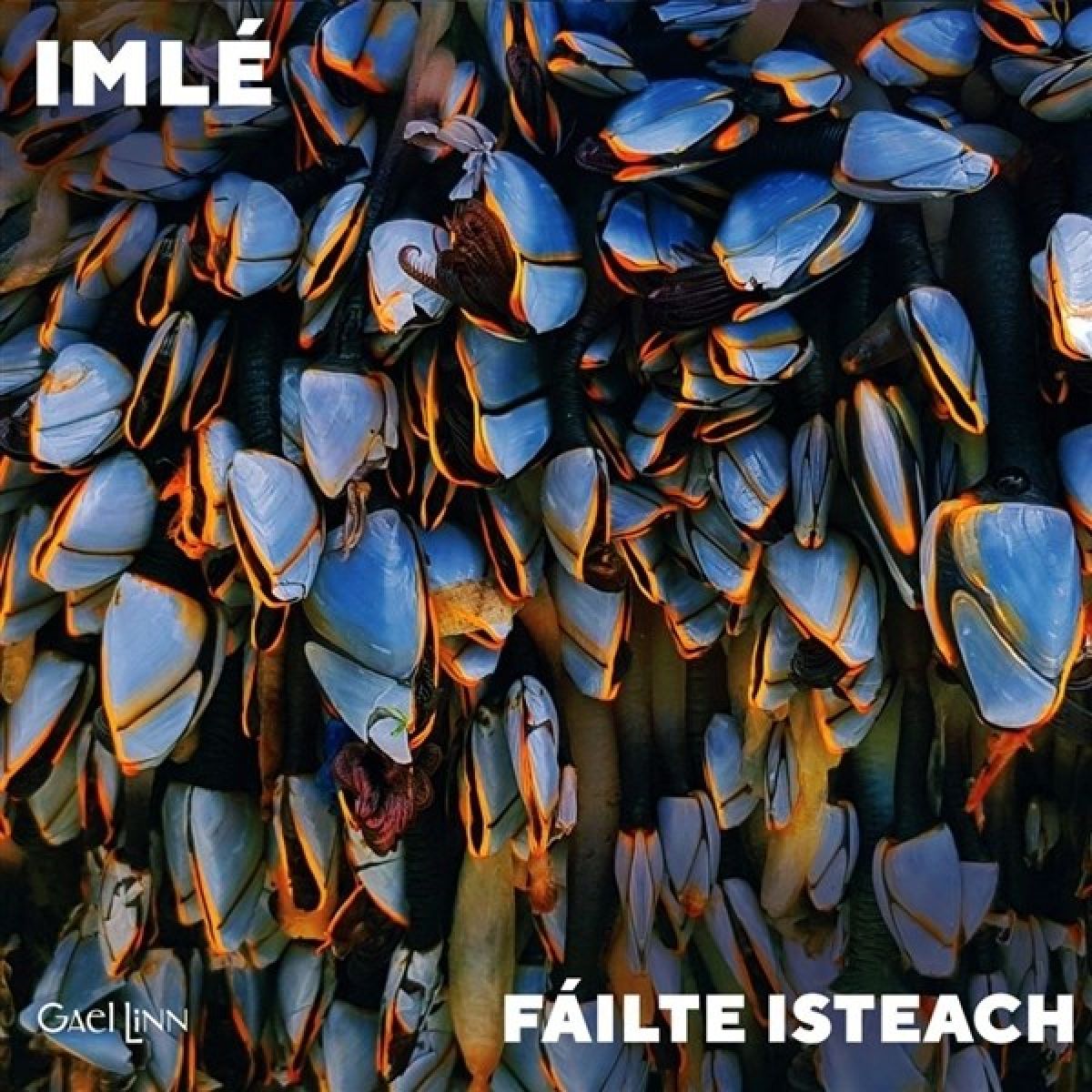 Failte Isteach