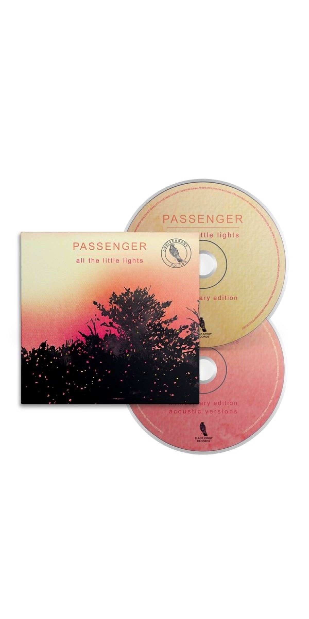 Afbeelding van Passenger - All The Little Lights