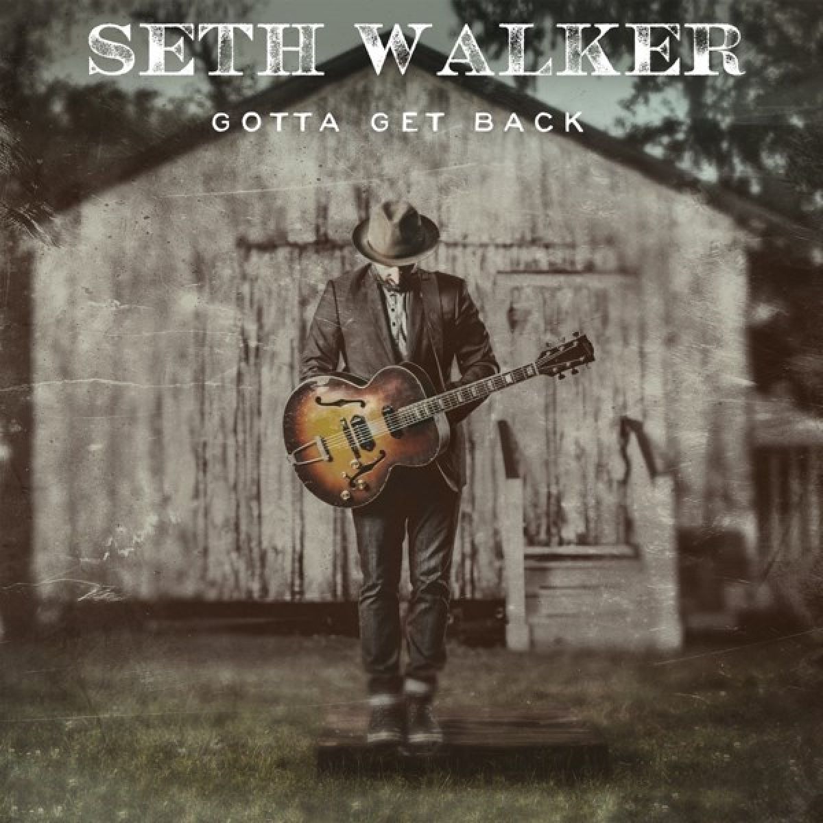 Afbeelding van Seth Walker - Gotta Get Back