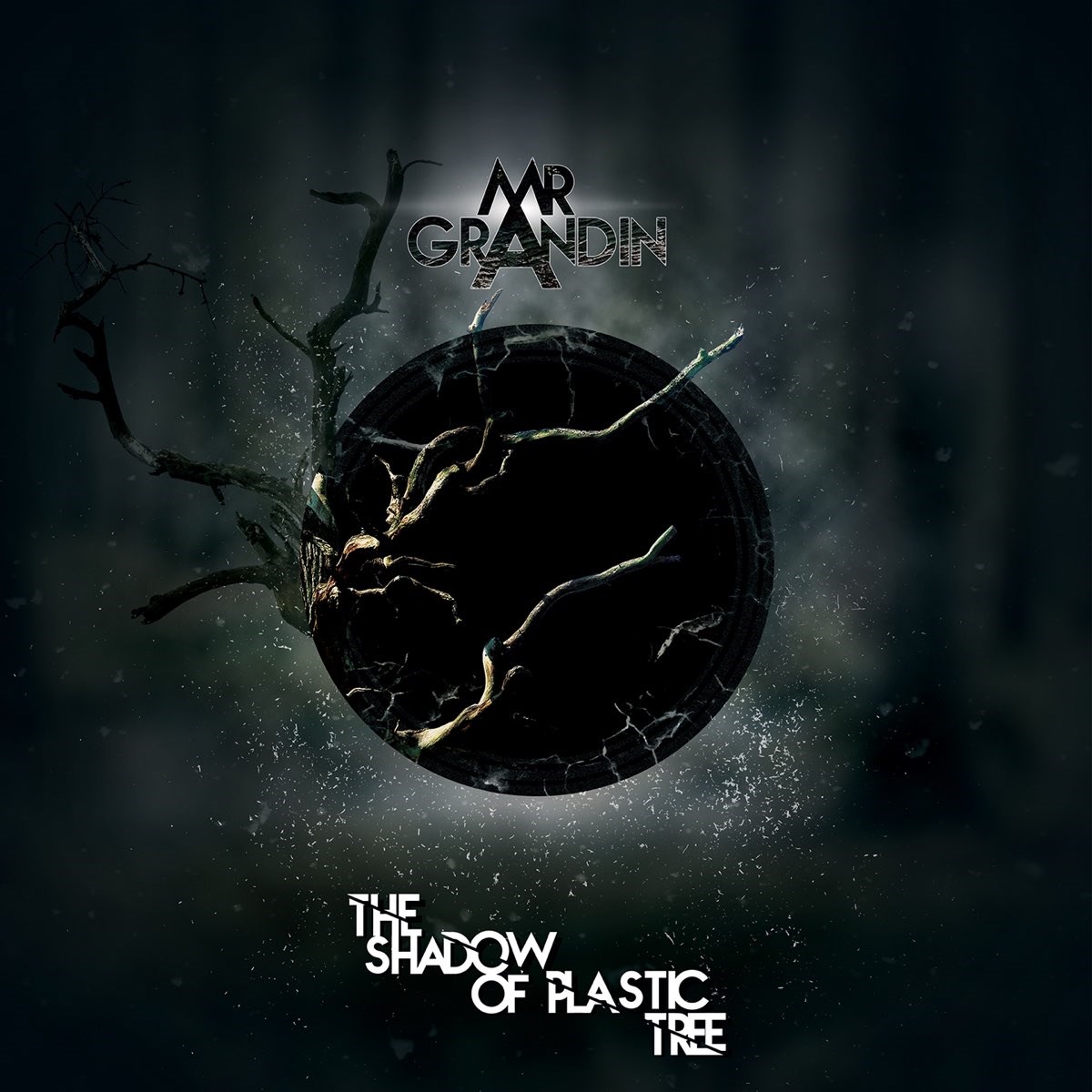 Mr. Grandin - The Shadow Of Plastic Tree