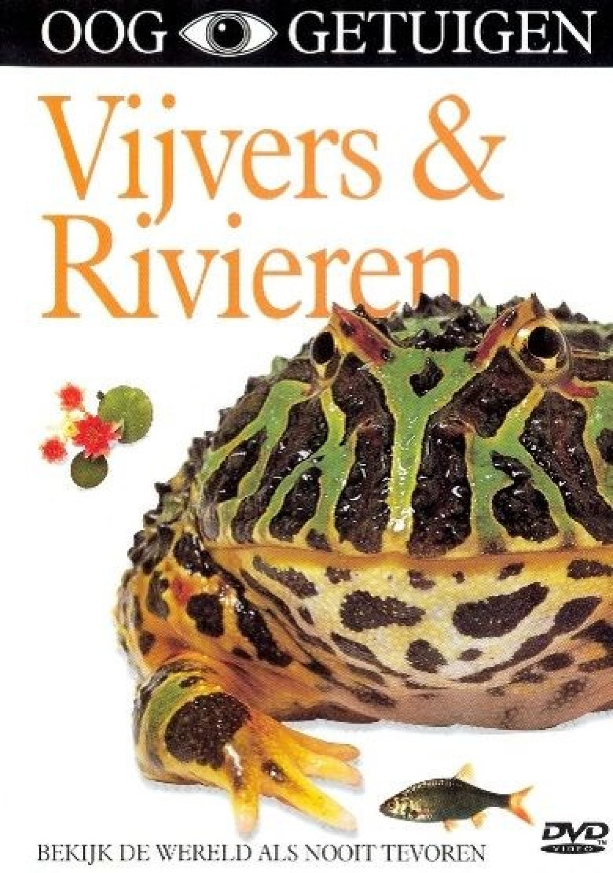 Ooggetuigen - Vijvers & Rivieren