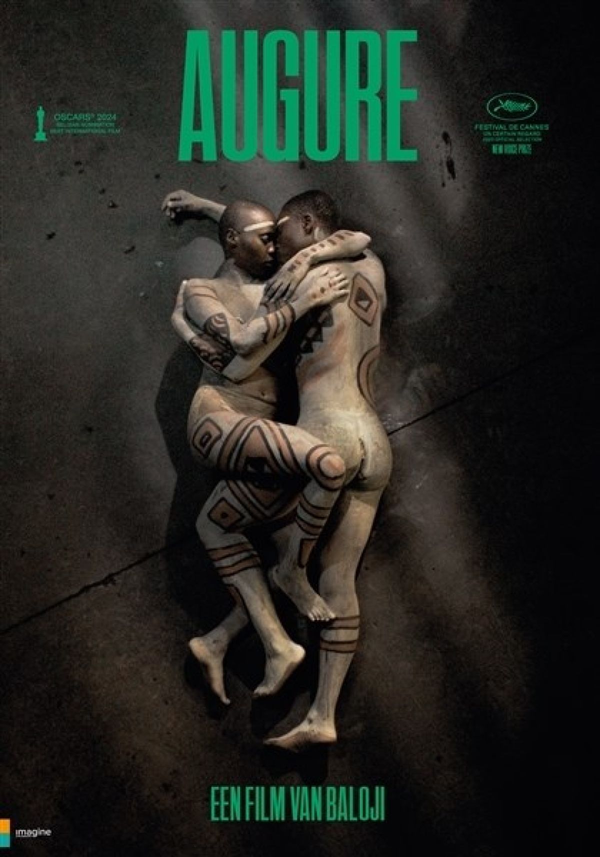 Afbeelding van Augure