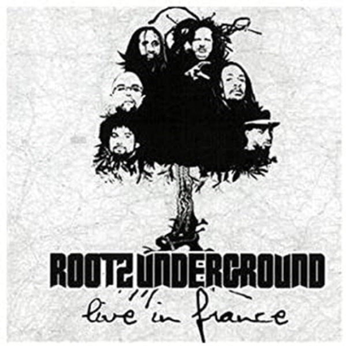 Afbeelding van Live In France