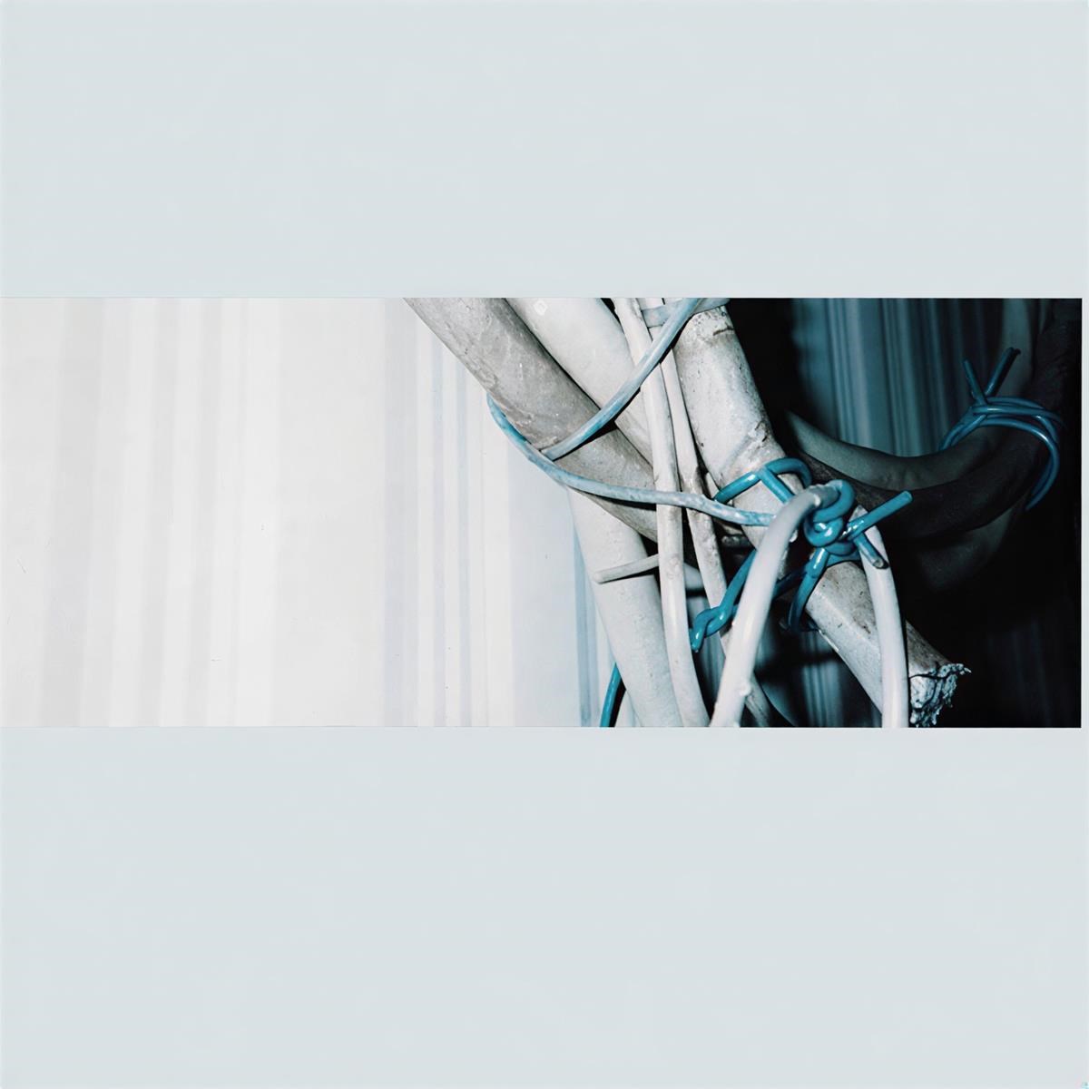 Afbeelding van Fred Thomas - Those Days Are Dust, Dream Erosion, Part II