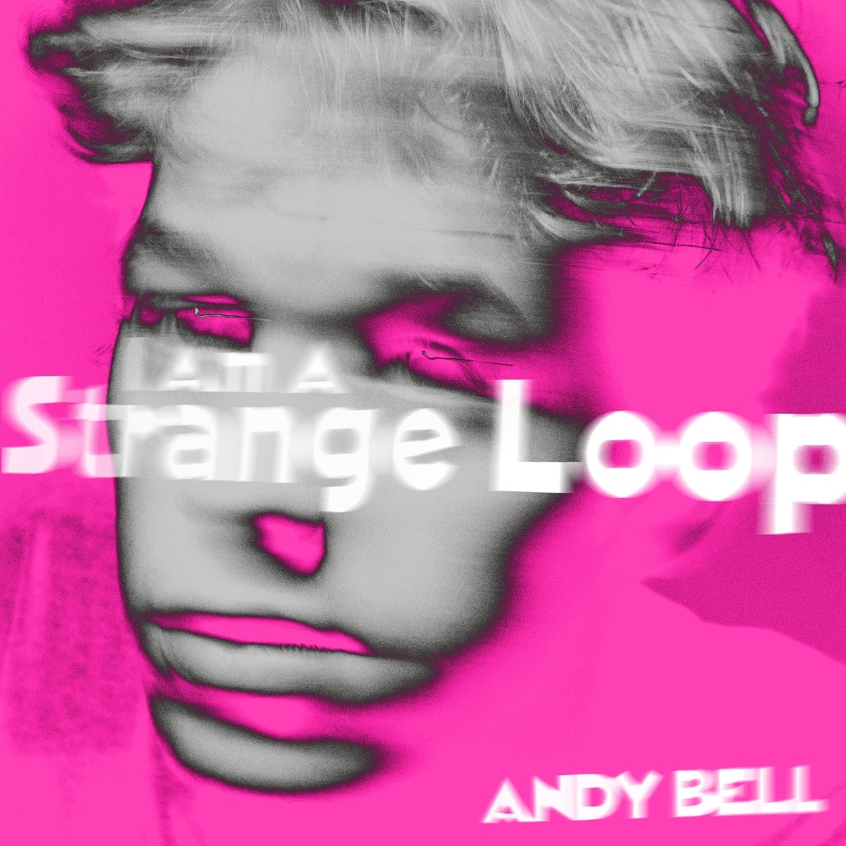 Afbeelding van I Am A Strange Loop