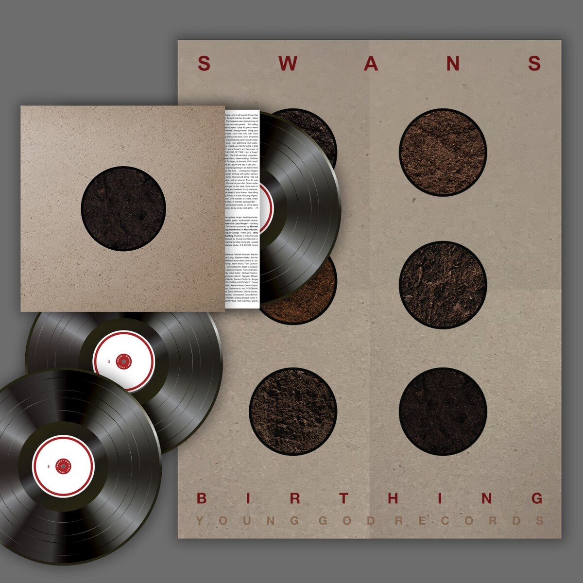 Afbeelding van Swans - Birthing