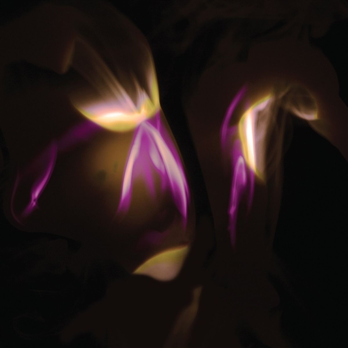Afbeelding van Shedir - Before The Last Light Is Blown